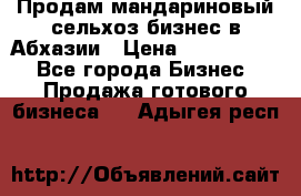 Продам мандариновый сельхоз-бизнес в Абхазии › Цена ­ 1 000 000 - Все города Бизнес » Продажа готового бизнеса   . Адыгея респ.